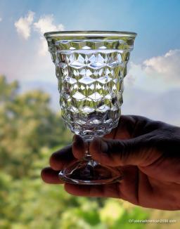 Fostoria American Low Goblet